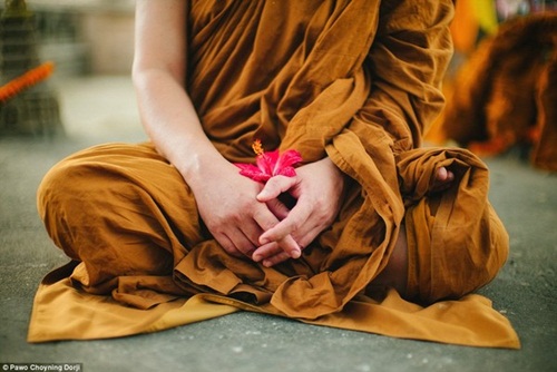5 Cách sống hạnh phúc hơn theo quan điểm Phật Giáo
